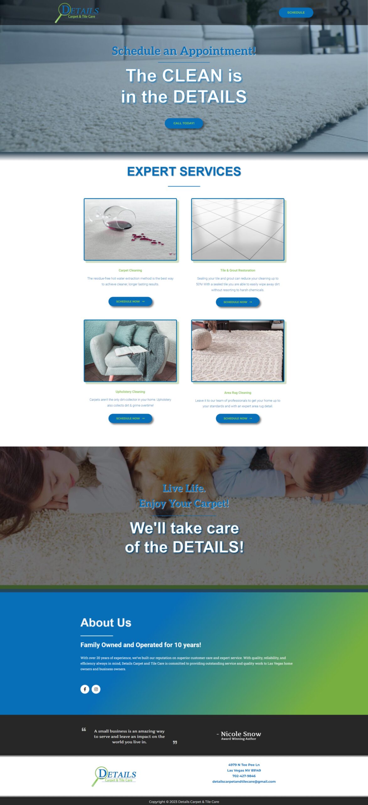 Professional Carpet Cleaning Website