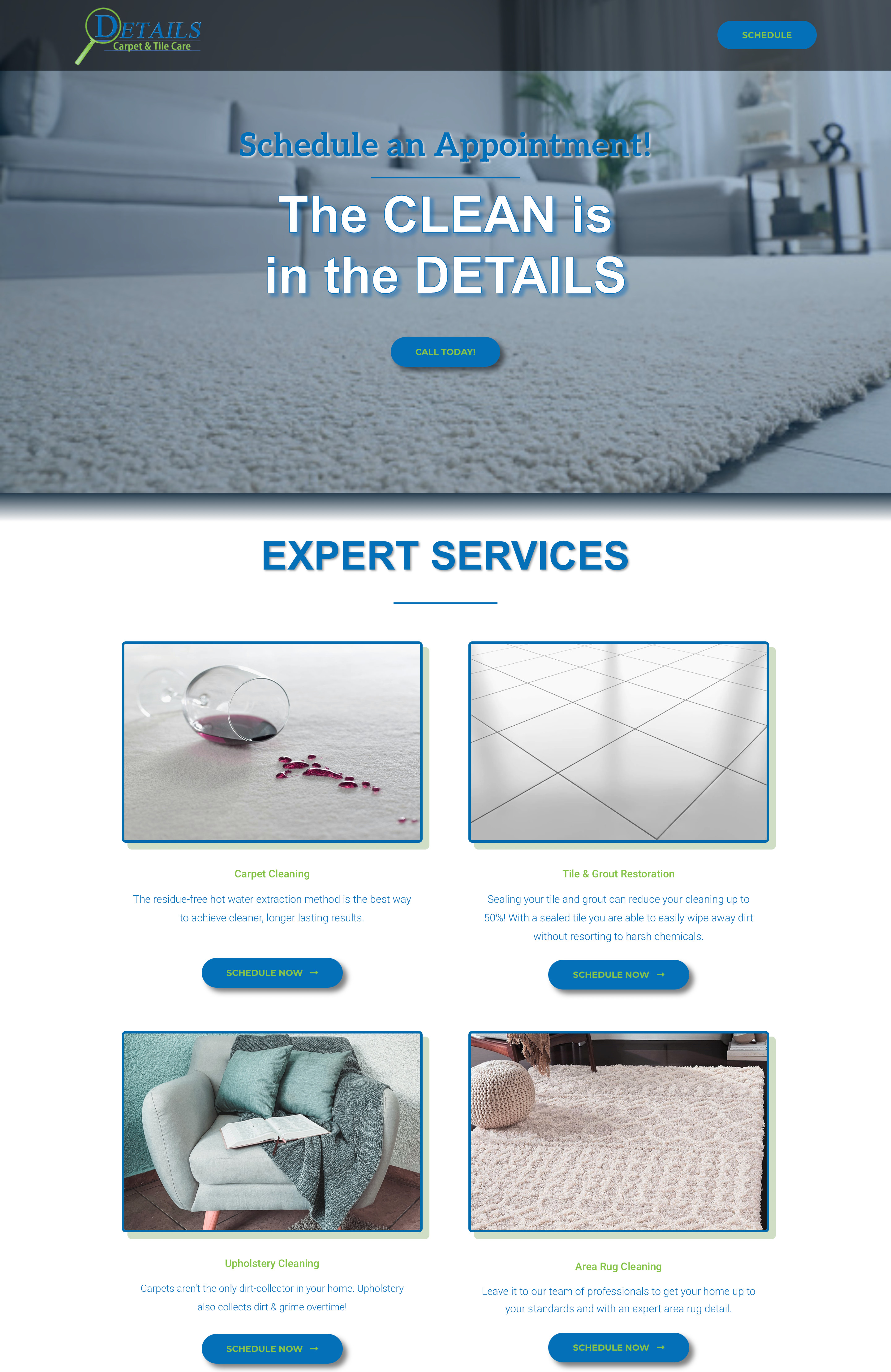 Professional Carpet Cleaning Website